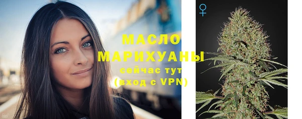 гашик Заводоуковск