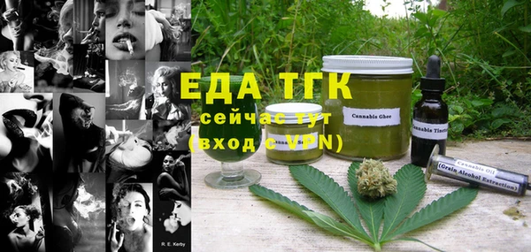гашик Заводоуковск