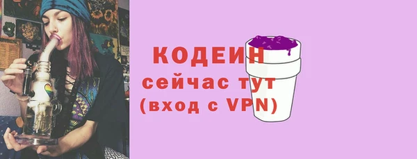 гашик Заводоуковск