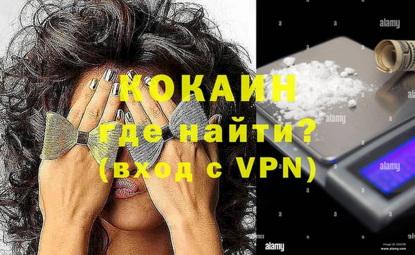 гашик Фурманов