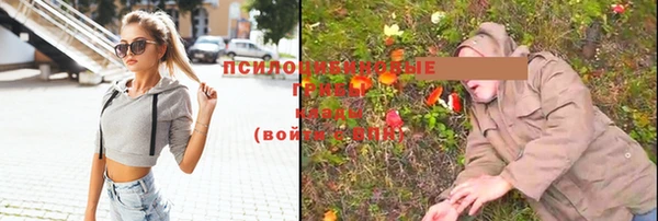 стаф Ханты-Мансийск