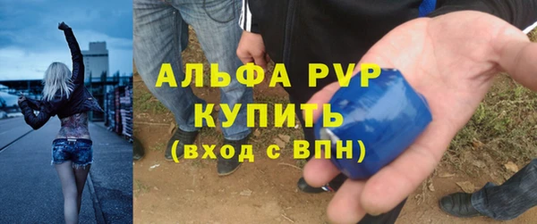 гашик Заводоуковск