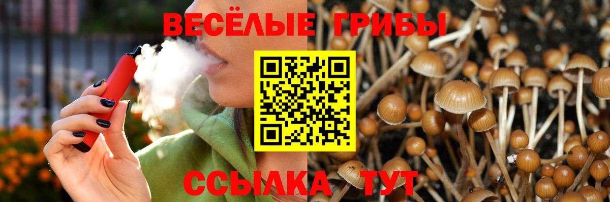Санкт-Петербург  продажа наркотиков  Вход с VPN  Псилоцибиновые грибы мицелий 